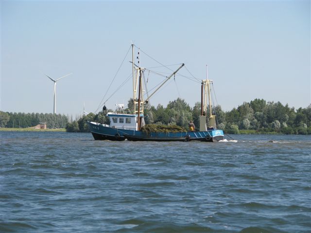 Herhaalde oproep: Hulp bij het waterplanten maaien gevraagd